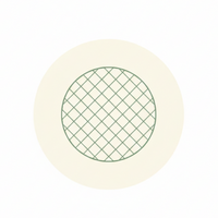 Mesh Circle Icon